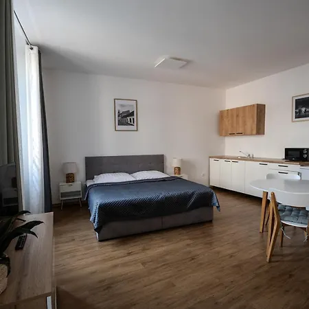 بيت ضيافة U Radnice 3*